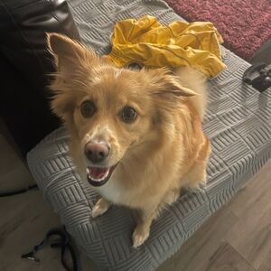 Meet your Posher, Jacob